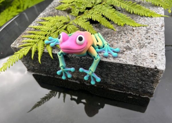 Frog