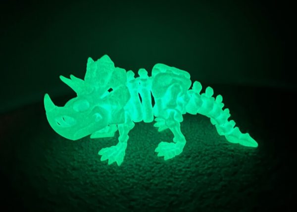 Triceratops Skeleton - Image 3