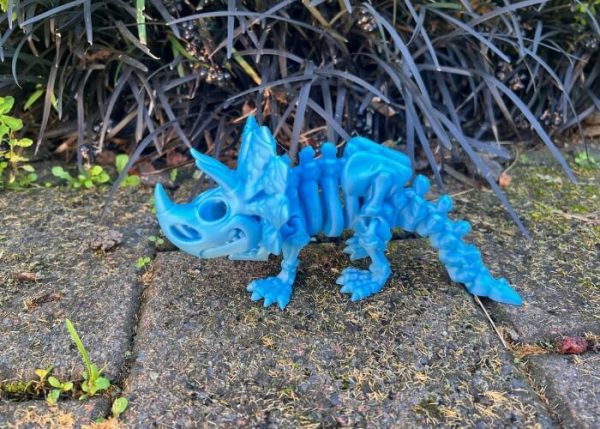 Triceratops Skeleton - Image 4