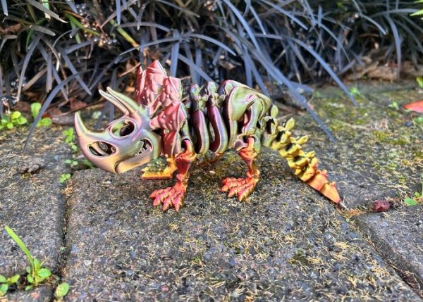 Triceratops Skeleton - Image 2