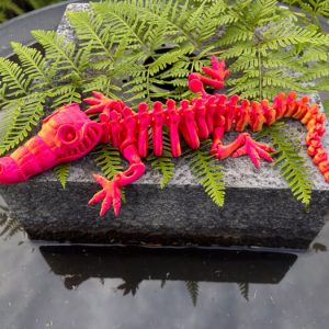 Crocodile Skeleton
