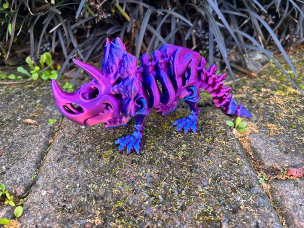 Triceratops Skeleton - Image 7